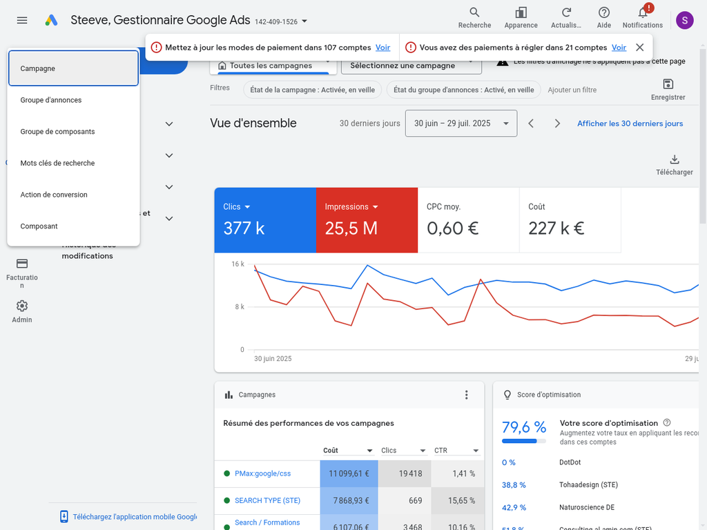 Menu de navigation détaillé de Google Ads